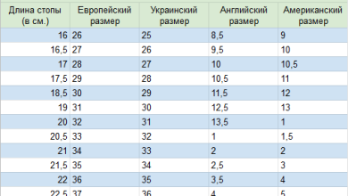 Photo of История и репутация бренда Salomon